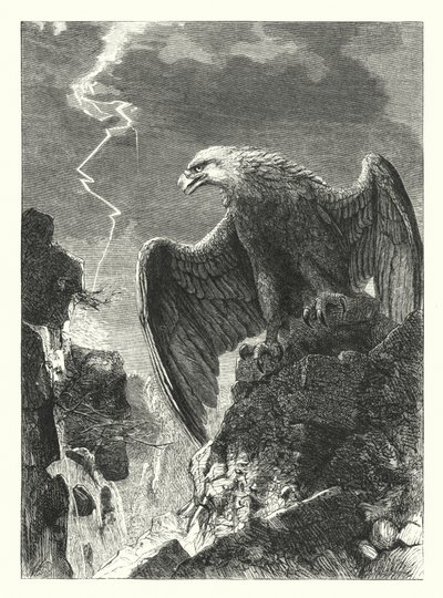 Unangewandte Weisheit von Joseph after Wolf